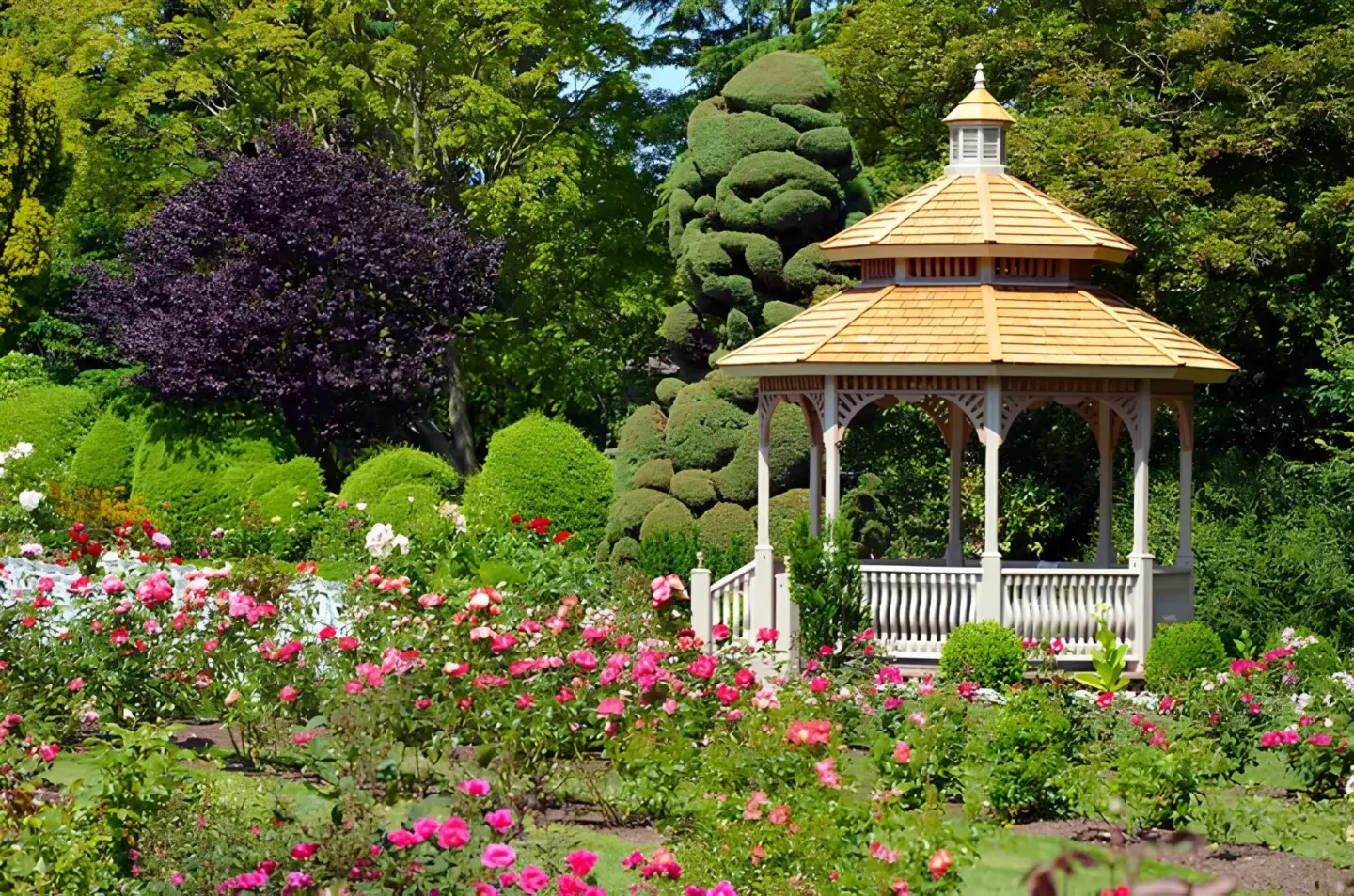 Stock photo spring garden gazebo